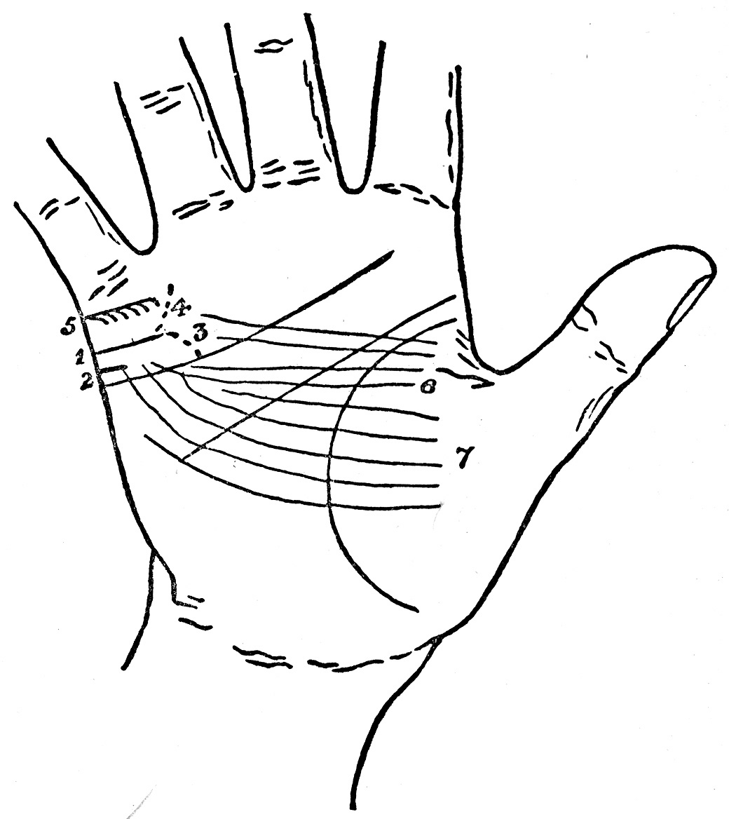 Plate XVII from Cheiro's Palmistry for All (1916): the classical marriage line patterns — single, double, downward-curving, and absent